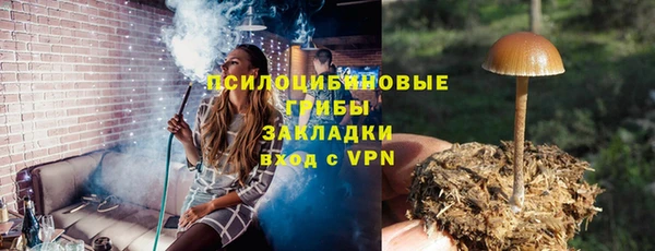 прущие крисы Аркадак